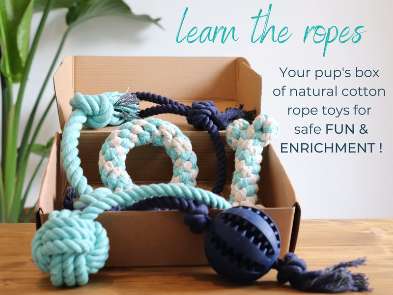 Puppy Rope Toys, Chew Ropes for Puppies from 8 weeks, Teething Toys for Play, Natural Dog Enrichment, Gift Box (Small-Medium) Ocean Reflections Small-Medium - PawsPlanet Australia