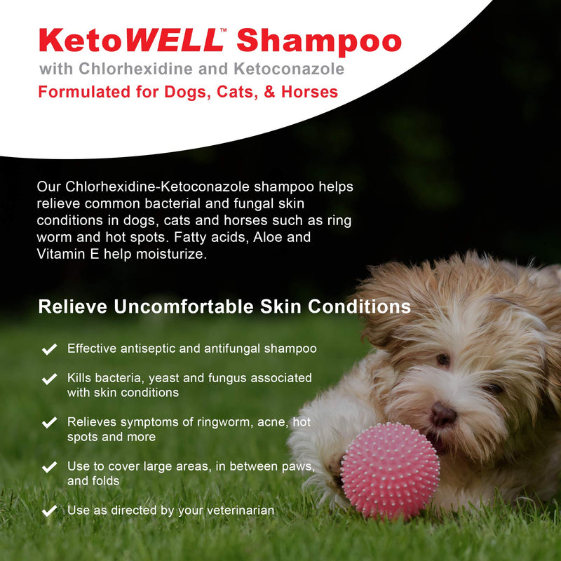 [Australia] - KetoWELL Ketoconazole & Chlorhexidine Shampoo for Dogs & Cats - Antifungal, Antibacterial & Antiseptic Medicated Dog Shampoo for Hot Spots, Ringworm, Yeast, Fungal Infections, Acne & Pyoderma 8 Ounce 