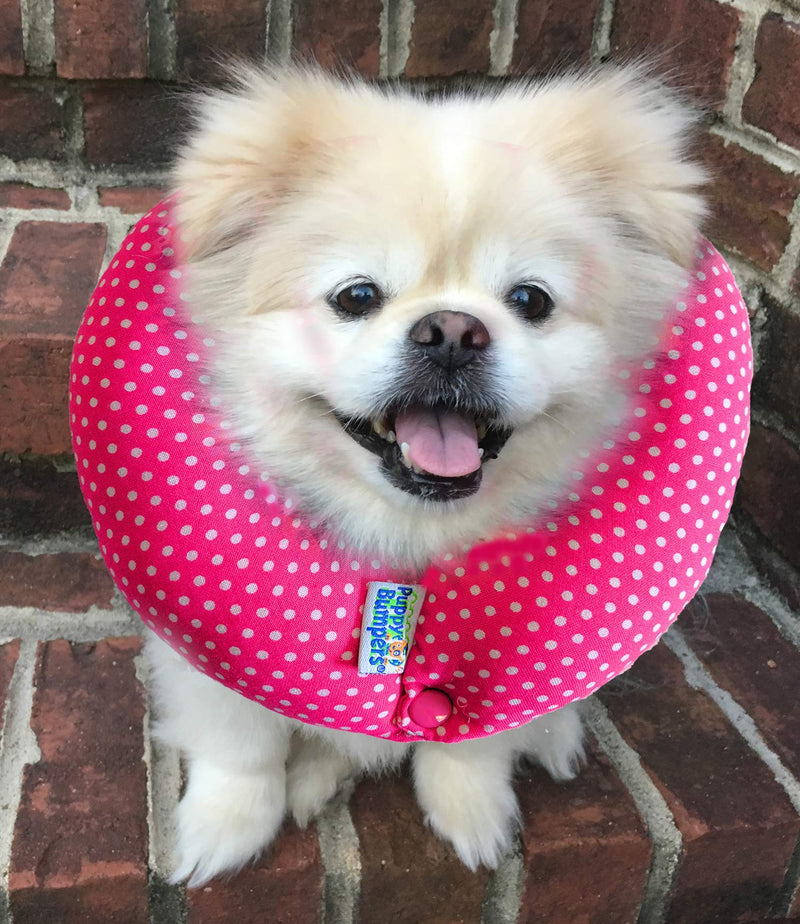 [Australia] - Puppy Bumpers Keep Your Dog on The Safe Side of The Fence up to 10" Pink Dots 