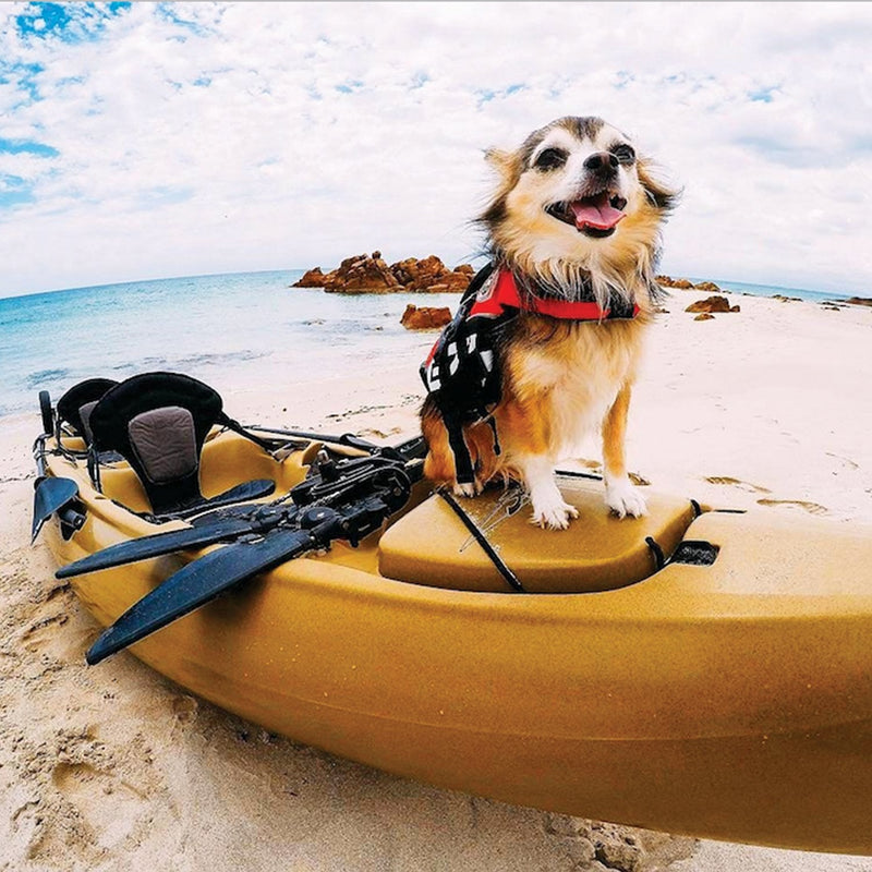 EzyDog Micro DFD Life Jacket, Lifejacket, Boating, Under 7KG, Dog Friendly, Paddle Board, Superior Buoyancy, Rescue Handle (Yellow) XS Yellow - PawsPlanet Australia