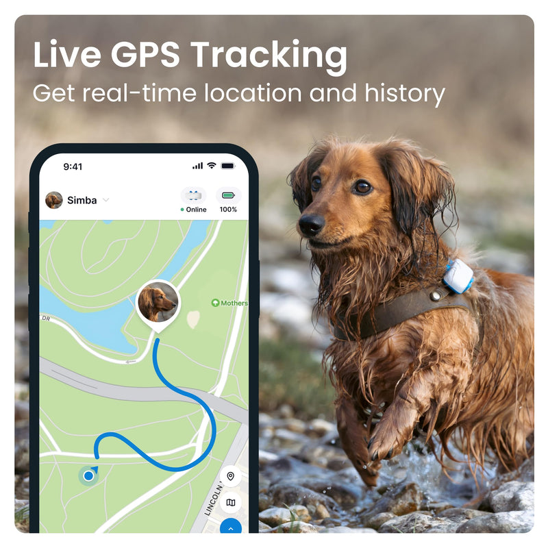 Tractive GPS Tracker & Health Monitoring for Dogs - Market Leading Pet GPS Location Tracker, Wellness & Escape Alerts, Waterproof, Works with Any Collar (White with Black Cover) Tracker w/ Black Cover - PawsPlanet Australia