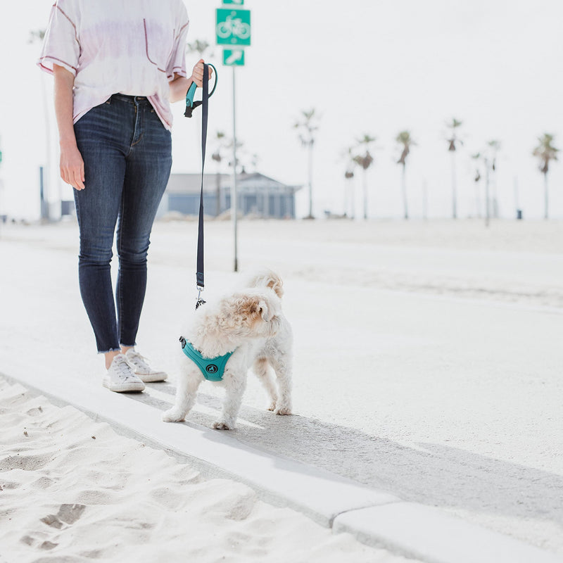 Gooby Dog Leash - 4 FT - Escape Free Sport Leash Padded Detachable Handle and Bolt Snap Clasp - Perfect on The Go Dog Leashes for Small Dogs, Medium, and Large Dogs for Indoor and Outdoor Use 4 Feet Black - PawsPlanet Australia