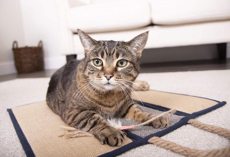 [Australia] - SmartyKat Clever Claws Hanging Or Mat Cat Scratcher, Brown and Grey,Large 