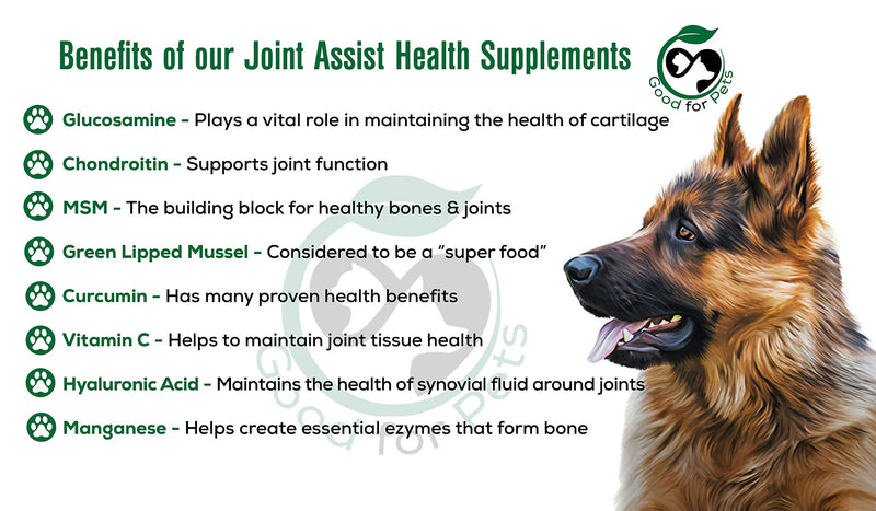 JOINT ASSIST ~ Joint Supplements For Dogs ~ Contains A Powerful Blend Of Natural Glucosamine for Dogs, Green Lipped Mussel & MSM ~ Aids Stiff Joints & Supports Joint Health In Older Dogs. 120 - PawsPlanet Australia