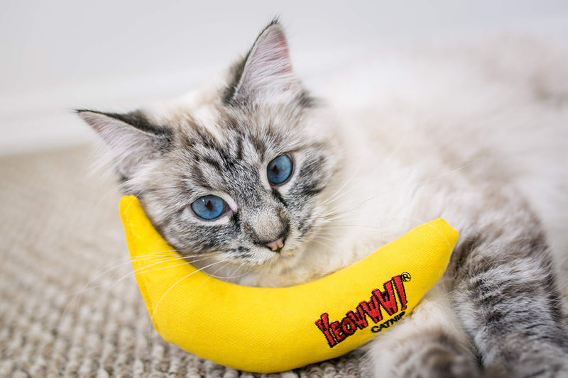 [Australia] - Yeowww! Catnip Toy, Yellow Banana 