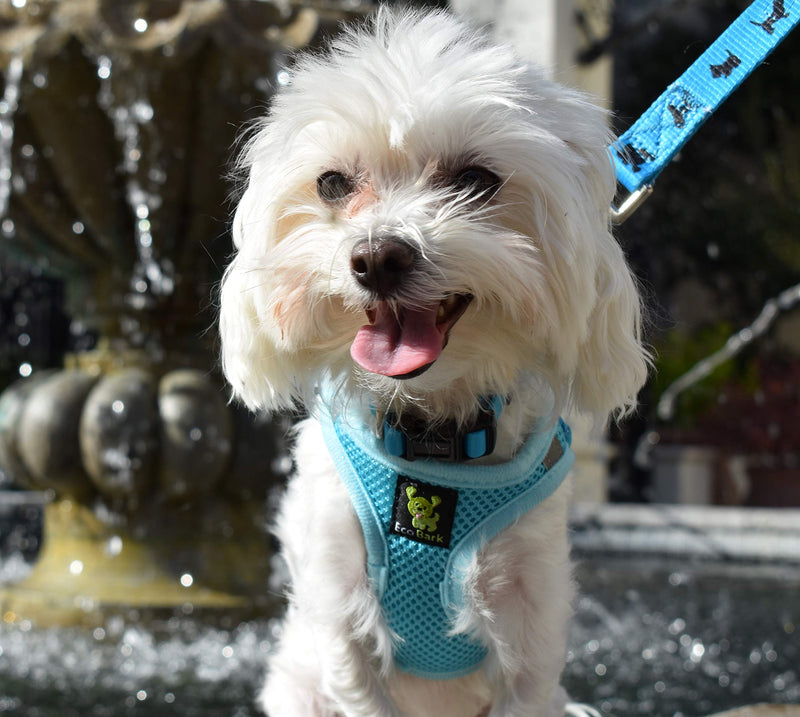 [Australia] - EcoBark Step in Dog Harness Reflective Soft Ultra Padded Mesh Dog Harnesses for XXS, XS, Small, and Medium Dogs Eco-Friendly Comfort Secure Halter No Pull Adjustable Pet Vest XX-Small (Chest 9.5-10.25 in) Sky Blue 