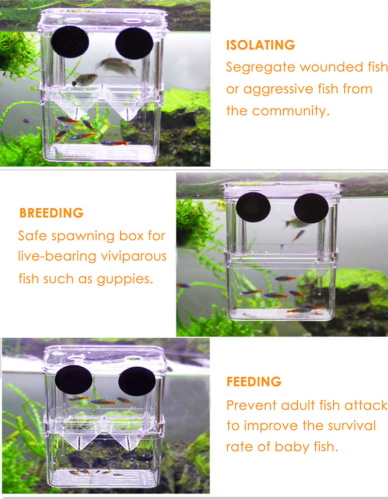 Fish Breeding Box, Tiberham Acrylic Floating Fish Hatchery Isolation Box, Double Layer Fry Hatching Incubator Breeding Rearing Trap, Aquarium Tank Fish Parenting Container Divider with Suction Cups - PawsPlanet Australia