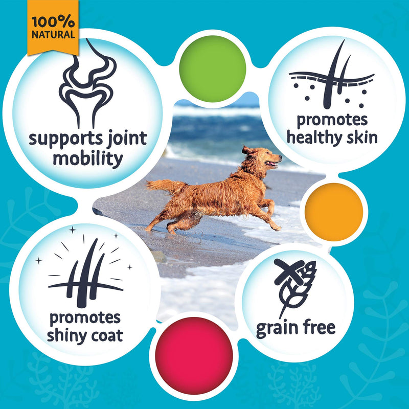 SKIPPER'S Premium Wolf Fish Skin Twists 250gm - Handmade & Gently Air-Dried - Healthy & Highly Nutritious Dog Dental Sticks Long Lasting - Rich in Omega 3 & 6 Oils Dog Chews - PawsPlanet Australia