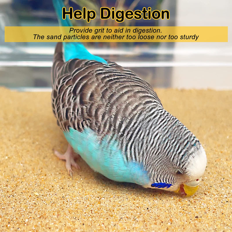 S&X Gravel Paper for Bird Cages 9 1/2 Inches x 15 3/4 Inches - PawsPlanet Australia