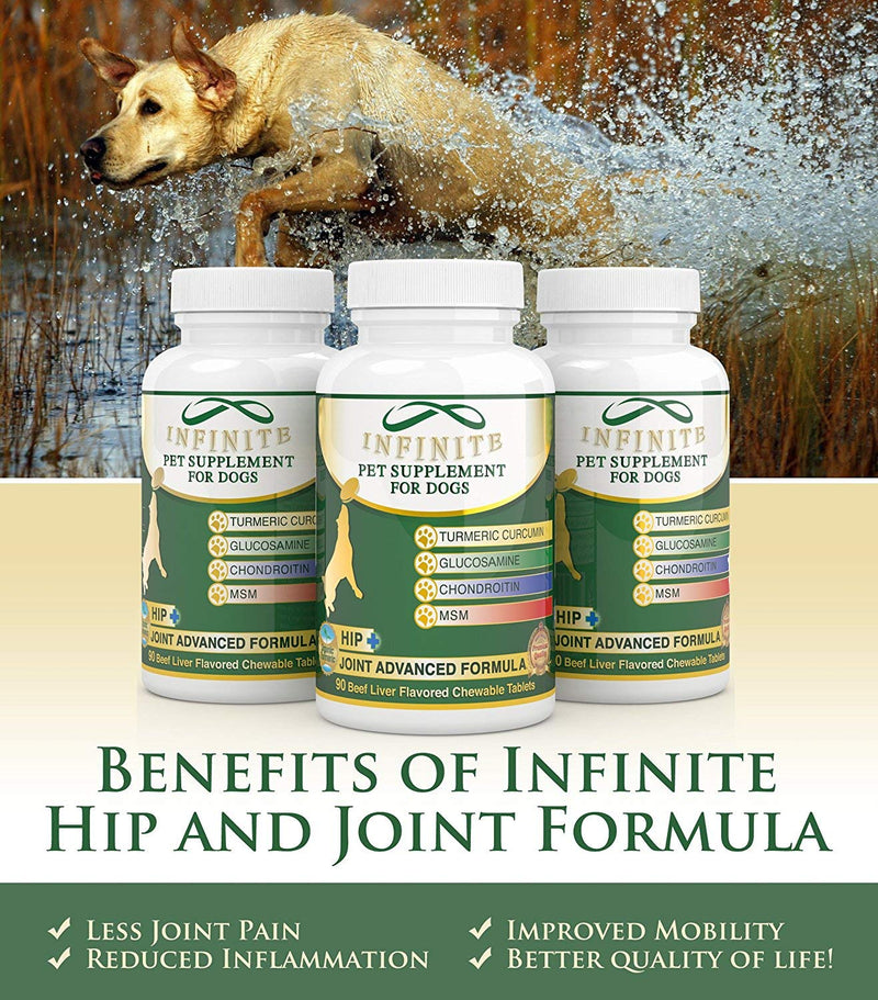 All-Natural Hip & Joint Supplement for Dogs - with Glucosamine, Chondroitin, MSM, and Organic Turmeric - Supports Healthy Joints in Large & Small Canines - 90 Chewable Treats - PawsPlanet Australia