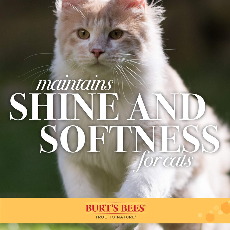 Burt's Bees for Cats 2-in-1 Double-Sided Needle and Bristle Brush for Cats | One side of the cat brush removes loose fur and prevents tangles Cat brush is ideal for everyday use - PawsPlanet Australia