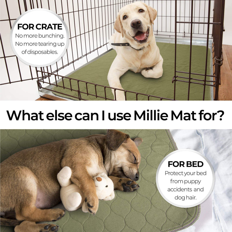 Millie Mats Washable Dog Pee Pads Extra extra large. Incontinent & Senior Dogs. Leak Proof to Protect Floors. Use for Whelping, Travel Mat or Indoor Potty Pad 112 x 160 cm (44"x63") (XXL) 112 x 160 cm - Single ARMY GREEN - PawsPlanet Australia