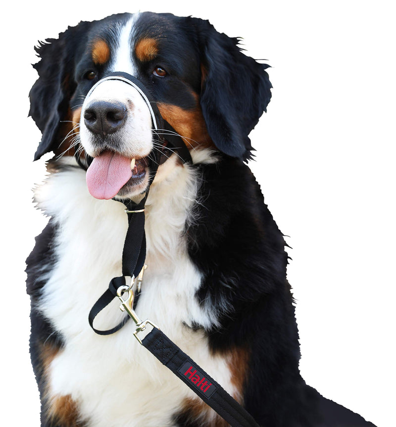 HALTI Headcollar Size 4 Black, UK Bestselling Dog Head Harness to Stop Pulling on the Lead, Easy to Use, Padded Nose Band, Adjustable & Reflective, Professional Anti-Pull Training Aid for Large Dogs - PawsPlanet Australia
