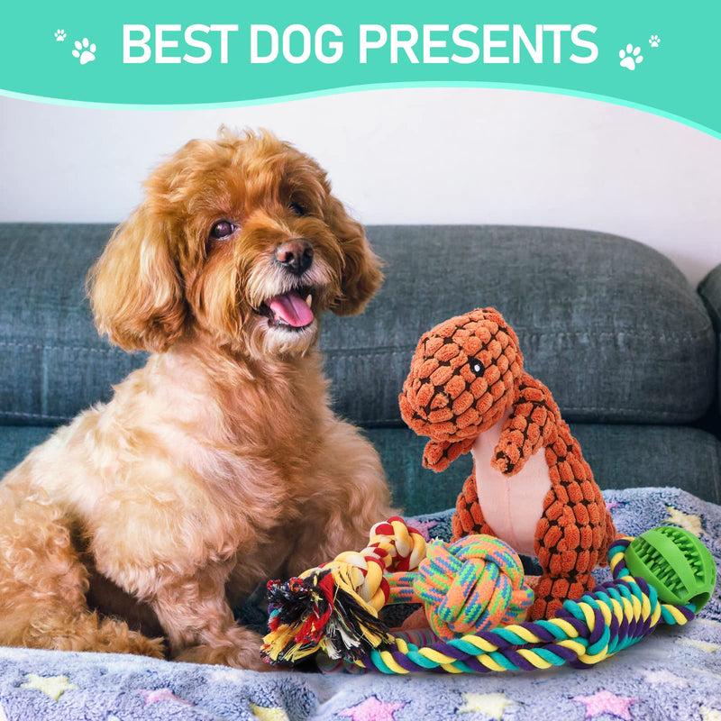 Puppy Dog Toys Set - Dog Birthday Present, Dog Rope Toy for Tug and Boredom, Puppy Chew Toys from 8 Weeks for Teething, Interactive Dog Toys for Small Medium Large Dogs, with Gift Box - PawsPlanet Australia