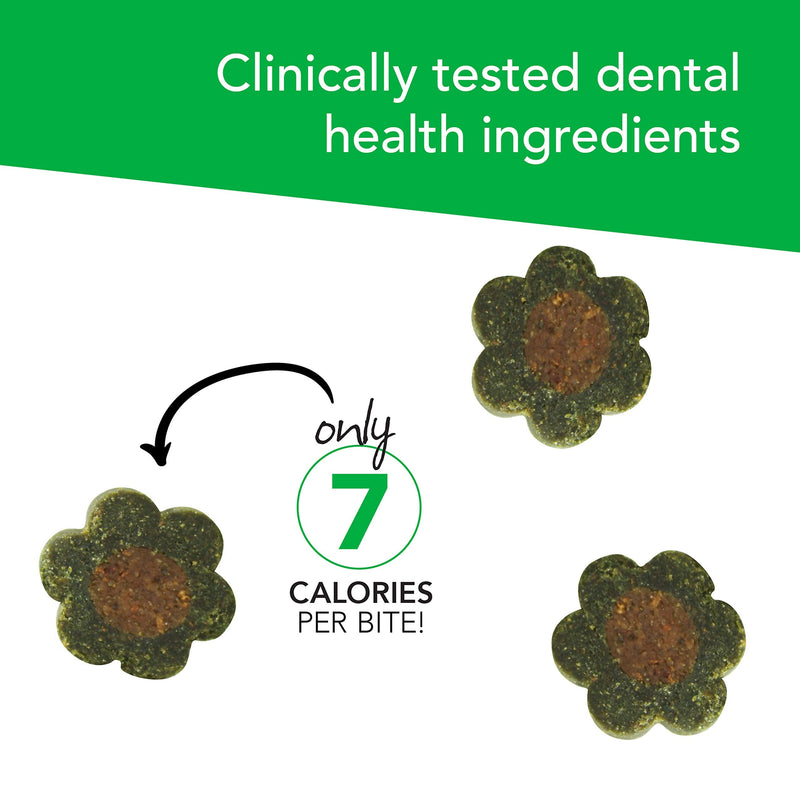 VETRISCIENCE Perio Plus Crunchy Teeth Cleaning Treats for Cats - Fresh Breath and Gums - Plaque Control - Vet Recommended, Green, 60 Chews (090041B.060) - PawsPlanet Australia