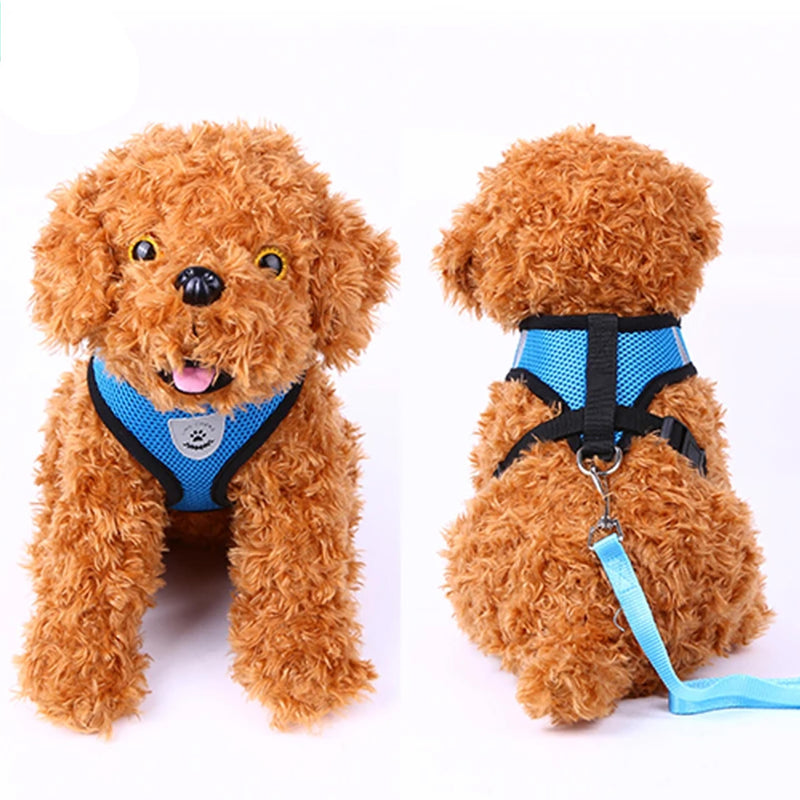 Soft Mesh Nylon Dog Vest Harness with 4ft Leash,Super Breathable Lightweight Safety Reflective Pet Harness for Dog Outdoor Walking,Adjustable Chest Belt with Quick-Release Buckle (Blue, S) blue - PawsPlanet Australia