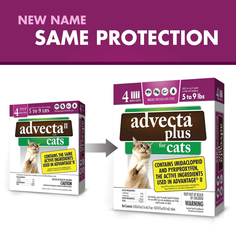 Advecta Plus Flea Squeeze-On, Flea Prevention for Cats, 4 Month Supply Cats 5-9 lbs - PawsPlanet Australia