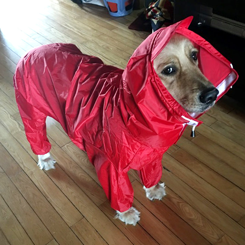 [Australia] - Alfie Pet - Bella Rainy Days Waterproof Raincoat (for Dogs and Cats) Medium Red 
