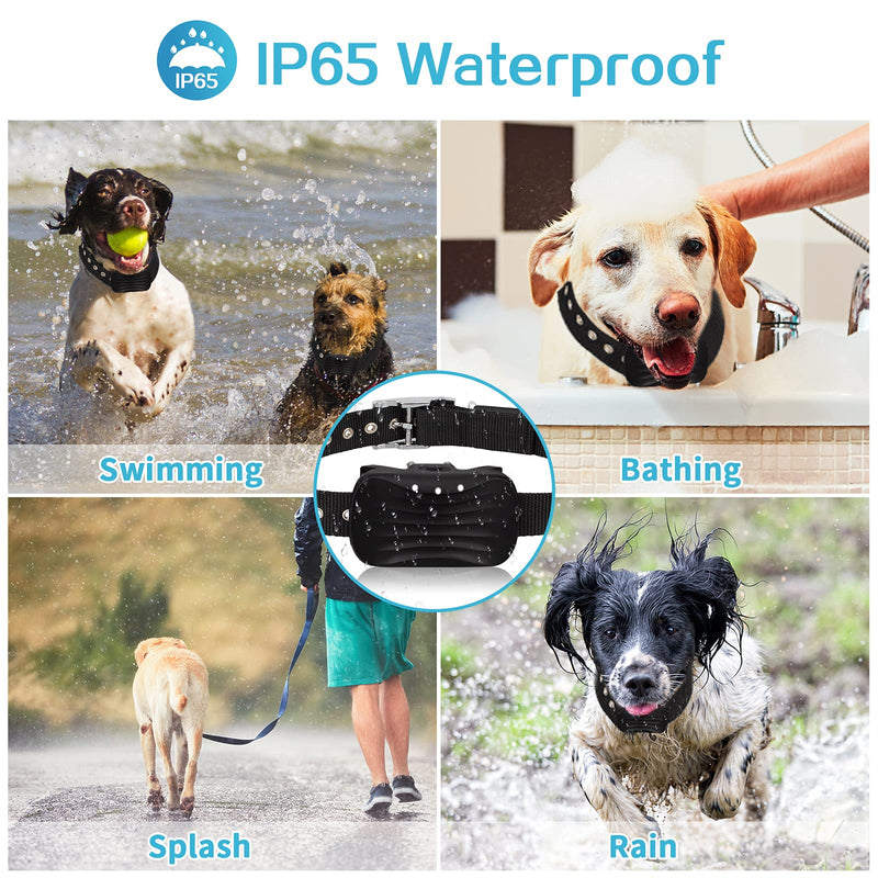 PETFAN Dog Training Collar, Waterproof Shock Collars for Dogs with Remote. Up to 3300Ft Remote, Rechargeable Bark Collar with Beep, Vibration, Shock 3 Modes, Dog Collar for Large/Medium/Small Dogs - PawsPlanet Australia