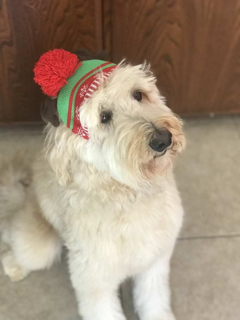 Christmas Dog Hat Reindeer Antler Beanie - PawsPlanet Australia