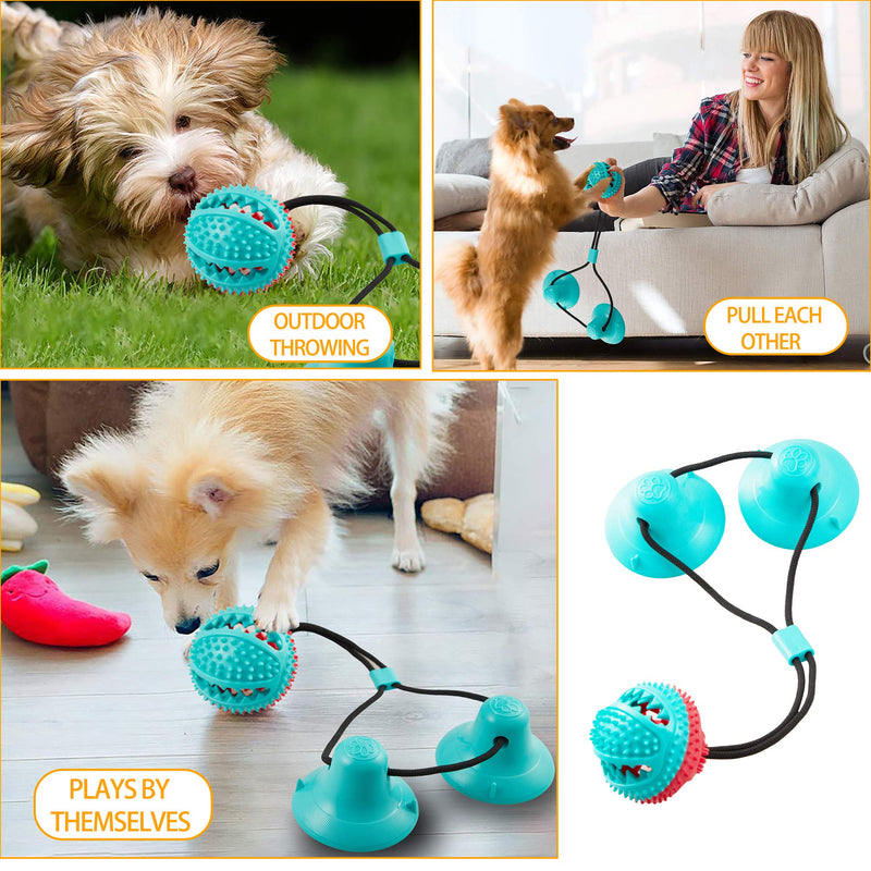 [Australia] - FANZ Dog Tug Toy with Double Suction Cup and Sticker- Interactive Dog Chew Toy for Teeth Cleaning, Pet Molar Bite Toy for Dogs Double Suction Cups 