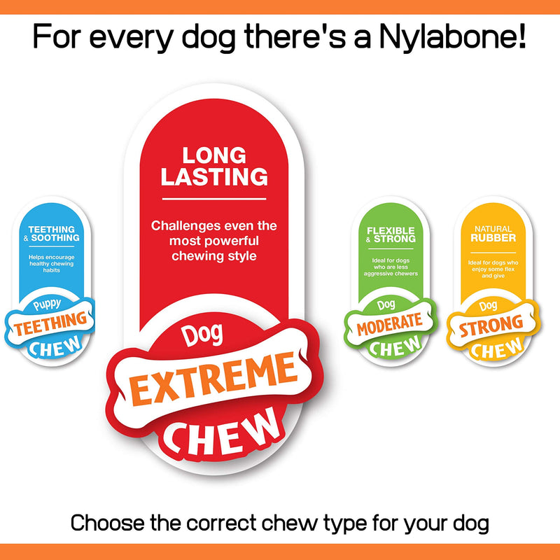 Nylabone Extreme Tough Dog Chew Toy Bones, Cheeseburger & Apple Flavour, 2-piece, Small, For Dogs Up To 11 kg Small (2 Count) - PawsPlanet Australia