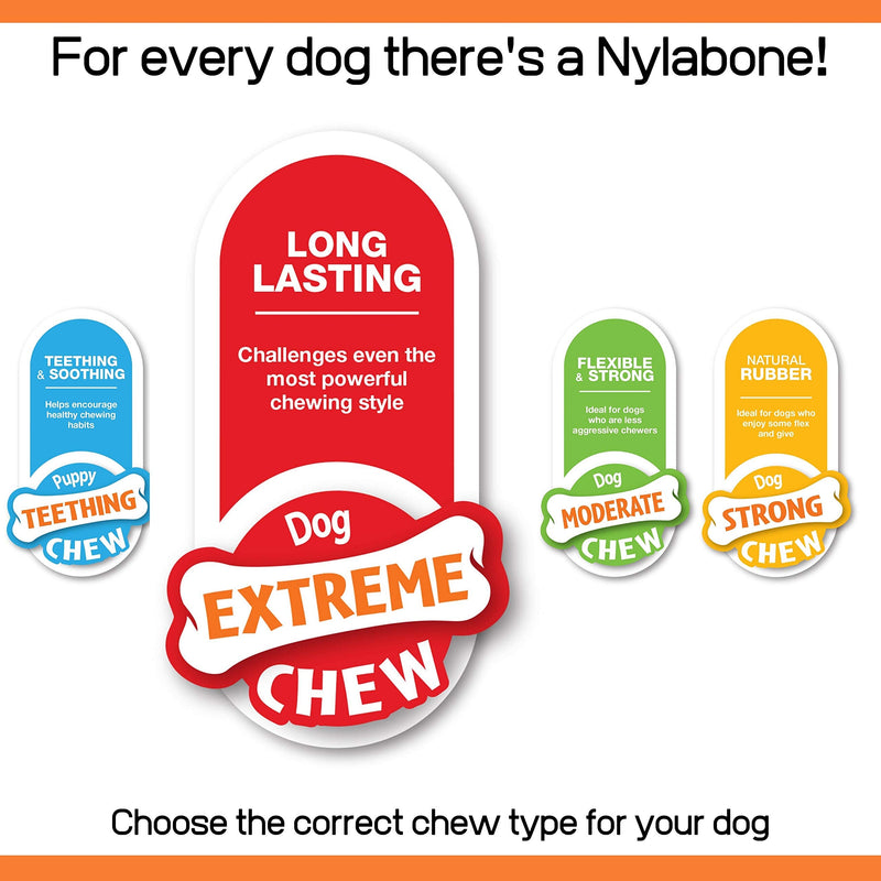 Nylabone 2 x Dura Chew Extreme Tough Dog Chew Toy Bones, 1 Bacon & 1 Chicken, Medium, For Dogs Up To 16 kg - PawsPlanet Australia