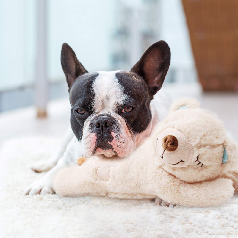 PetPrime Dog Plush Toy Snuggle Heartbeat Puppy Plush Bear Toy with Warmer Bag Pet Soft Anxiety Puppy Relief Toy for Puppy Dogs Heart Beat Stuffed Animal Puppy Sleeping Buddy Anxiety Dog Toy - PawsPlanet Australia