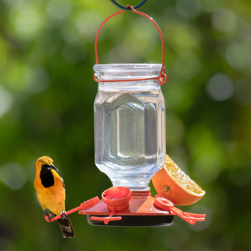 Perky-Pet 9113-2 Top-Fill Glass Oriole Feeder – 22 Oz - PawsPlanet Australia