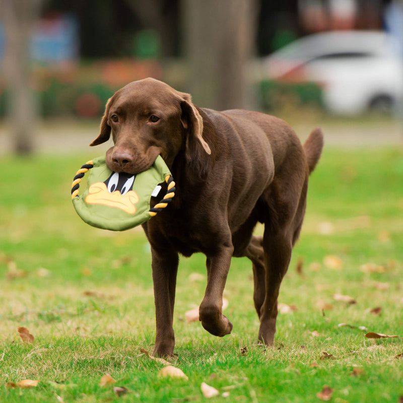 [Australia] - Warner Brothers Looney Tunes Fabric Frisbee | Bugs Bunny, Porky Pig, Daffy Duck Varieties | Fun and Lightweight Dog Frisbee is a Great Dog Toy for All Dogs 