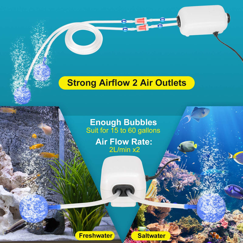 TEEMO Quiet Aquarium Air Pump 3 Watt with Dual Outlet and Other Accessories , Adjustable Oxygen Pump for 15-60 Gallon Fish Tank - PawsPlanet Australia