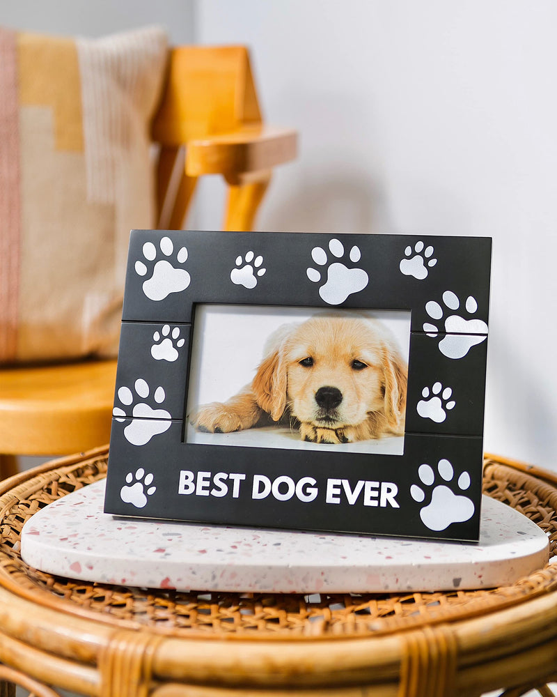 Pumba & Co. Dog Memorial Picture Frame with Sympathy Card - Beautiful Pet Sympathy Gifts for Dogs black - PawsPlanet Australia