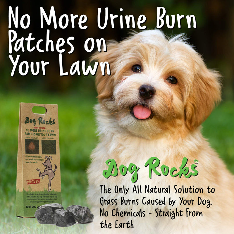 (2 Pack) Dog Rocks Prevent Grass Burn Marks, 4 Month Supply - PawsPlanet Australia