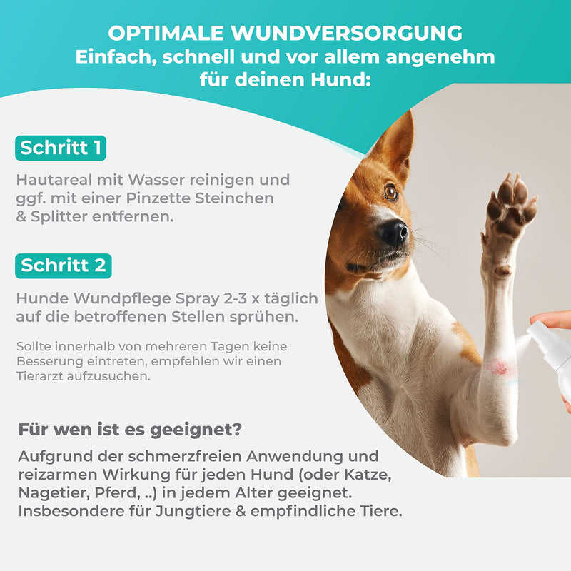 Hundepflege24 wound spray for dogs - disinfects, soothes, cares for and protects wounds of all kinds without burning - 125ml with proven active ingredients. Wound spray for dogs - care and wound disinfection for dogs - PawsPlanet Australia