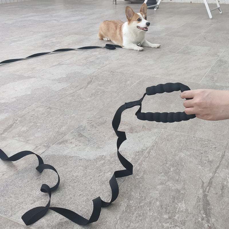 Mainiusi Dog Training Lead Leash 6m /20ft Extra Long Line Dog Rope for Large, Medium, Small Dogs Pet Nylon Recall Lead for Camping Tracking Training Obedience Backyard Playing Running 6m with padded handle Black - PawsPlanet Australia