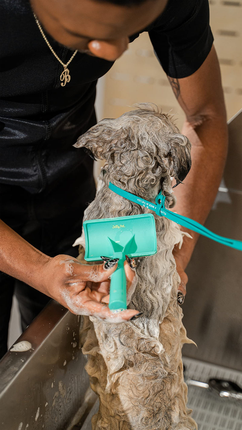 Jelly Pet Universal Slicker Brush for Dogs, Remove Tangles and Dead Undercoat, Doodle Huskie Sheep Dog Golden Retriever German Shepherd, Firm Pins, Teal, Large Head (3 in x 4 in) - Pins (Firm) - PawsPlanet Australia