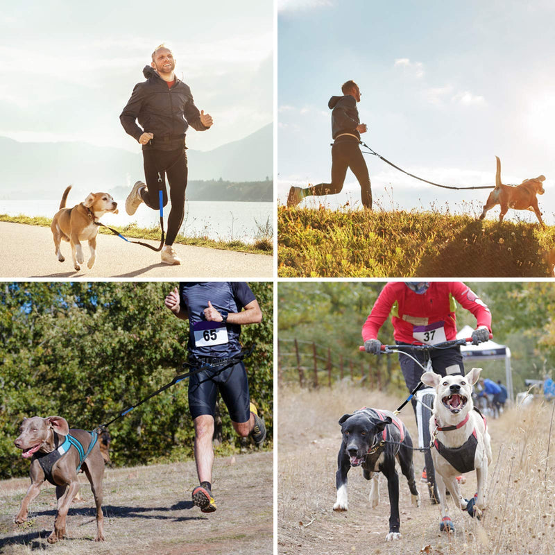 Hands Free Dog Leash, Suitable for Running Walking Jogging Hiking, Training for Small Medium and Large Dogs, Adjustable Waist Belt, Dual-Handle Reflective Bungee, Zipper Pouch, Shock Absorption. Black W Blue - PawsPlanet Australia