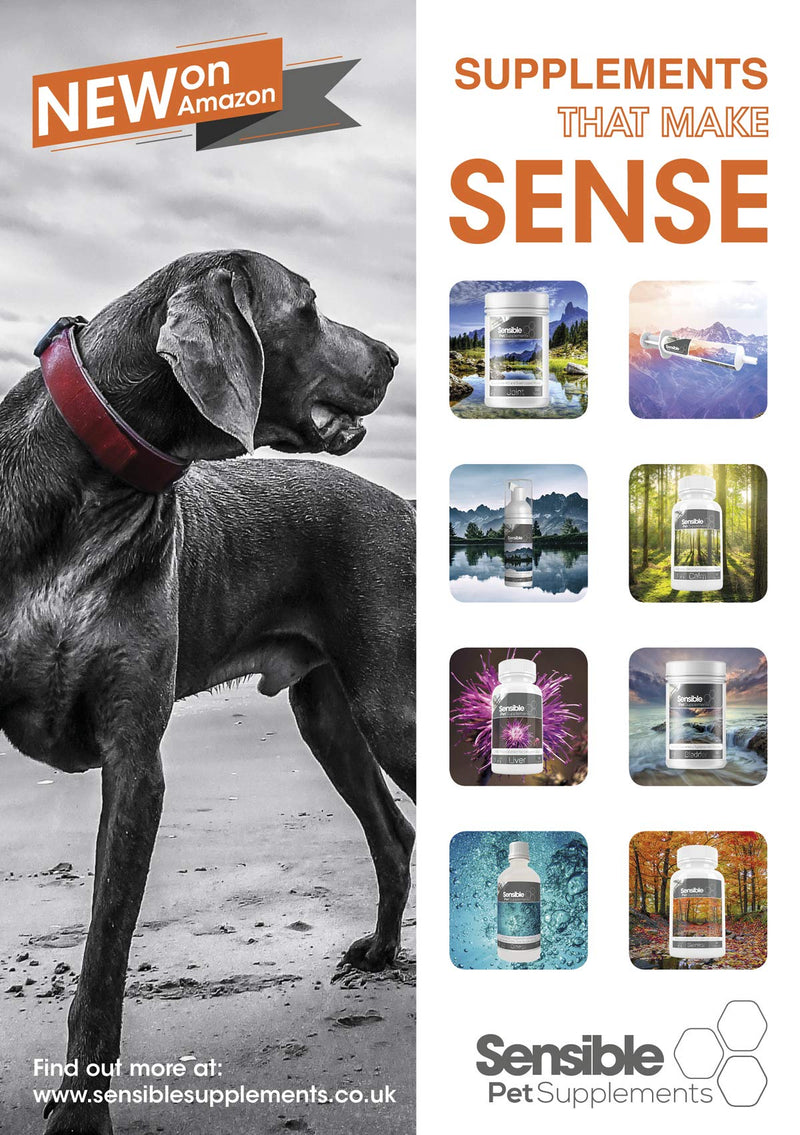 Sensible Pet Supplements 'Dental' for cats and dogs. Contains an enzymatic complex. 100ml gel. Xylitol Free. - PawsPlanet Australia