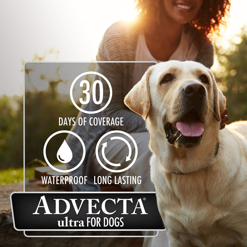 Advecta Ultra Flea & Tick Topical Treatment, Flea & Tick Control for Dogs Small - PawsPlanet Australia