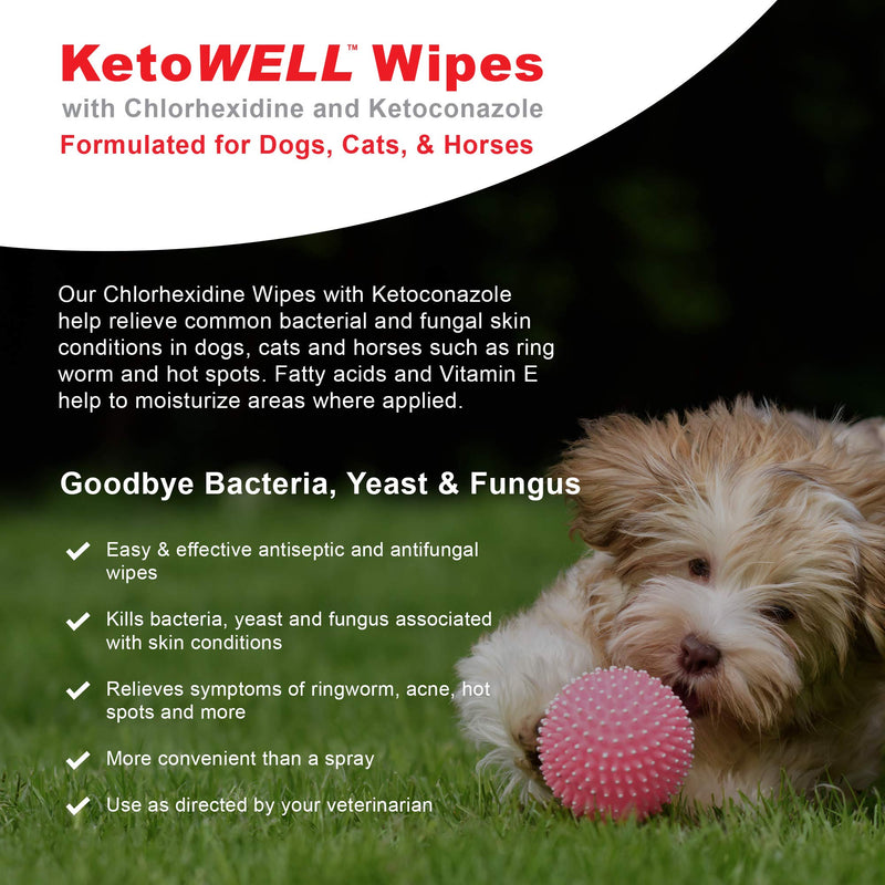 KetoWELL Chlorhexidine Wipes with Ketoconazole for Dogs & Cats Medicated Pet Wipes for Hot Spots, Infections, Acne & Pyoderma - 50 Count - PawsPlanet Australia