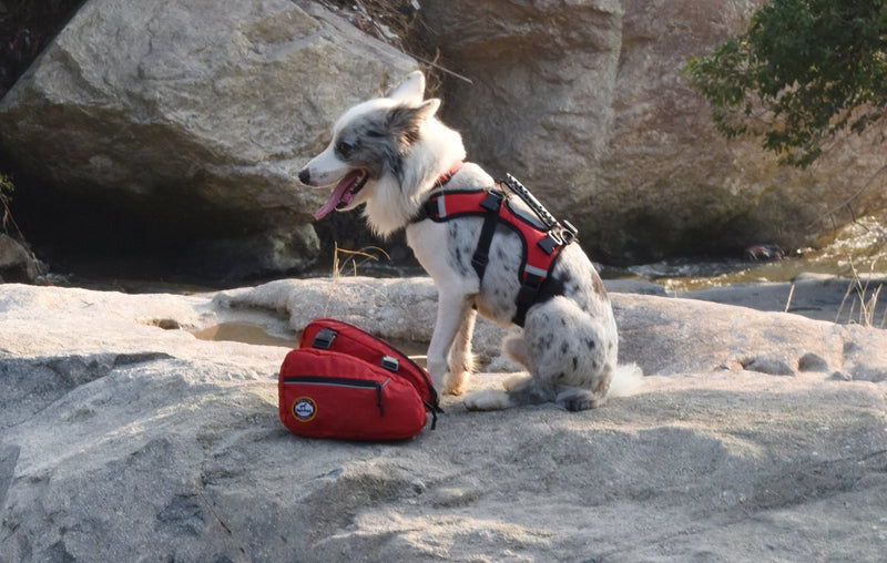 [Australia] - Lifeunion 2 in 1 Service Dog Harness Saddlebags Backpack with 2 Removable Packs for Hiking Camping Travel Pack Outdoor Accessory S 