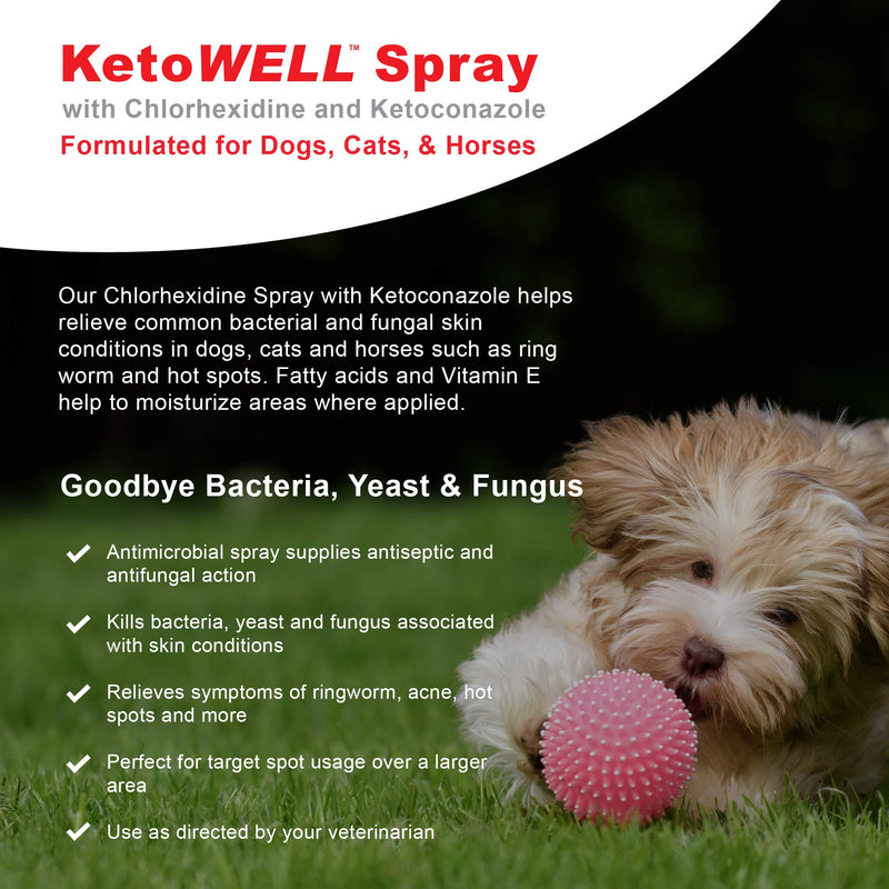 KetoWELL Chlorhexidine & Ketoconazole Medicated Spray for Dogs & Cats - Hot Spot Treatment, Skin Infections and Conditions, Acne - Aloe & Vitamin E - 8 oz - PawsPlanet Australia