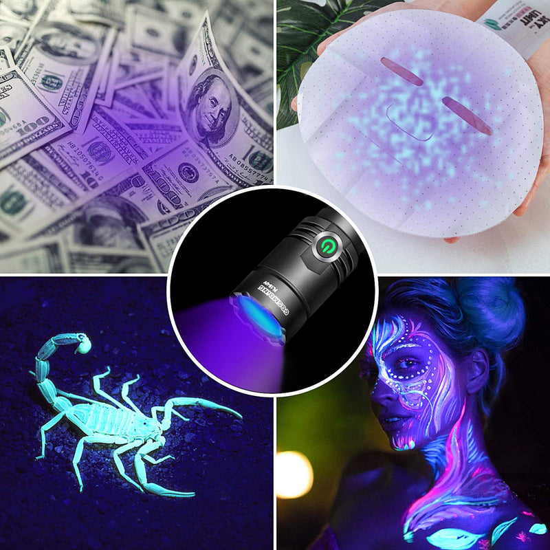 395nm UV Flashlight, COSMOING Upgrade Rechargeable Black Light, LED Ultraviolet Flashlight with Battery IP65 Waterproof Pet Urine Detector for Dog Cat Stains, Scorpion, Bed Bug, Household - PawsPlanet Australia