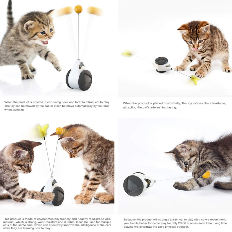 [Australia] - Hoolucat Interactive Cat Toy/Kitten Toy/Catnip Toy/Moving Cat Toy/Cat Feather Toy for Cat Wheel Training with 1 Feather and 1 Ball BLACK 