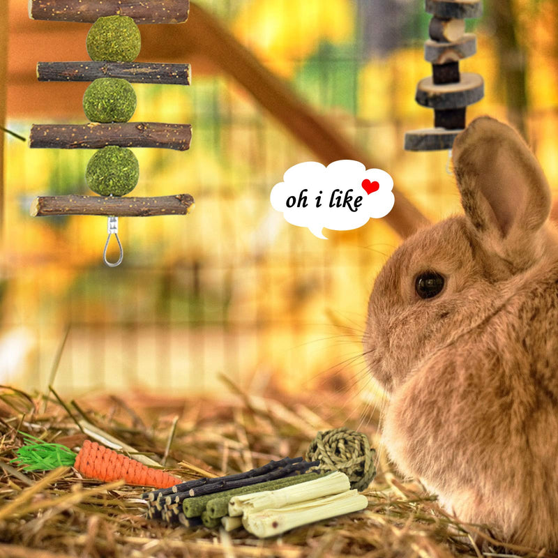ERKOON Rabbit Accessories, 8 Types of Rabbit Chew Toys, Rabbits Employment Small Animals Natural Timothy Hay Sticks Apple Sticks Dental Care Treats Chinchilla Guinea Pigs Gerbils - PawsPlanet Australia