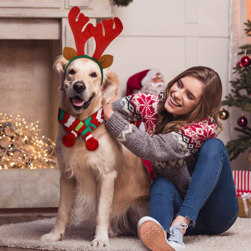 [Australia] - WILLBOND Christmas Reindeer Antlers Headband Santa Hat and Striped Holiday Scarf Pet Accessory for Dog Puppy Cat 