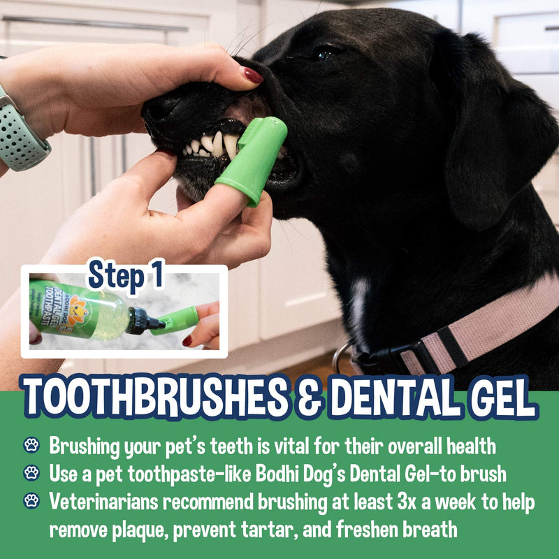 Bodhi Dog Pet Dental Gel | New Thicker Formula | Plaque Remover & Breath Freshener | Toothpaste for Dogs and Cats | Made in USA | 8oz (240ml) - PawsPlanet Australia