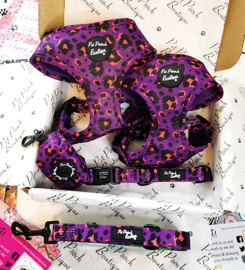 Pet Pooch Boutique Purple and Pink Leopard Dog Lead, One Size, 0.3 kg - PawsPlanet Australia