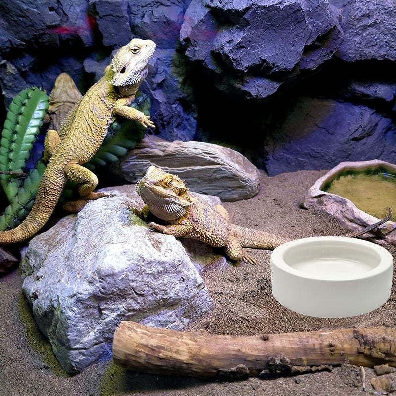 2 Pcs Reptile Food Bowl Ceramic Water Feeder Bowls Anti- Escape Mini Reptile Feeder for Lizard, Gecko etc, Round - PawsPlanet Australia