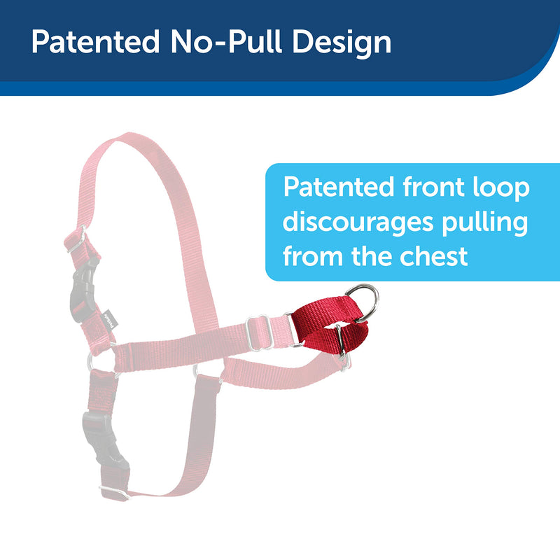 PetSafe Easy Walk Harness for Small/Medium/Large Dogs, Medium, Red, 1.8 m Lead - PawsPlanet Australia